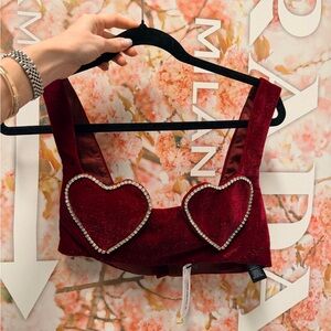 Nasty Gal Burgundy velvet Fabric